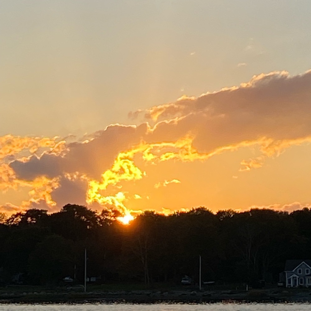 Please don’t self promote on my listings…